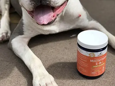 狗用復合維生素咀嚼片 30 粒