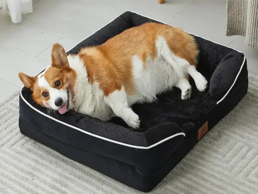 矯形狗床